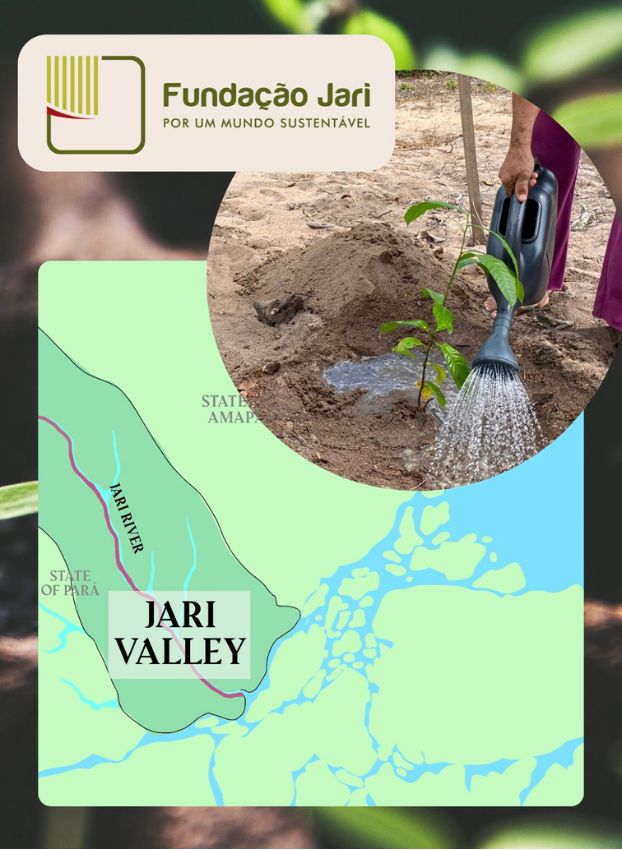 a map of the jari foundation's tree planting efforts in the amazon forest, a partner of flora amazon.