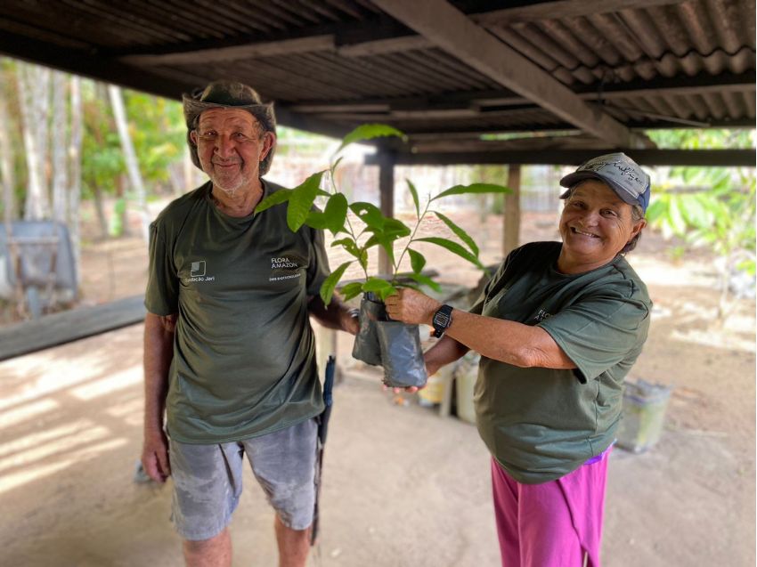 flora amazon and jari foundation team members holding a young brazil nut tree to be planted.