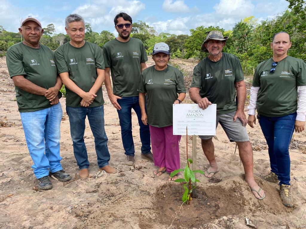 the flora amazon and jari foundation teams working together to plant a brazil nut tree.